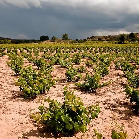 La Marcela 乡村民宿 Aldea de San Esteban
