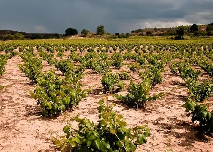 La Marcela Landhuis Aldea de San Esteban